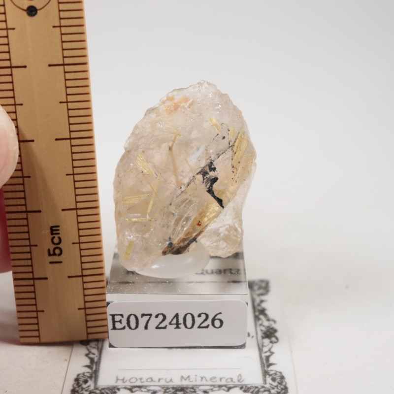 ���֥饸�뻺������륯������