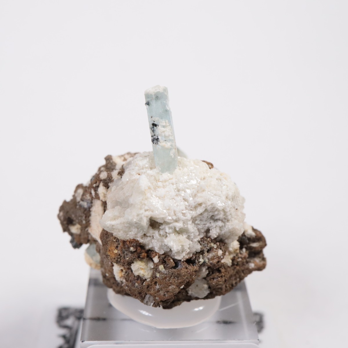 �����󥴹ۻ��� �������ޥ��