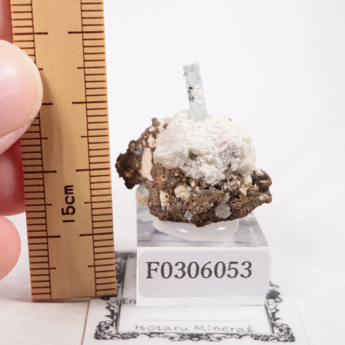 �����󥴹ۻ��� �������ޥ��