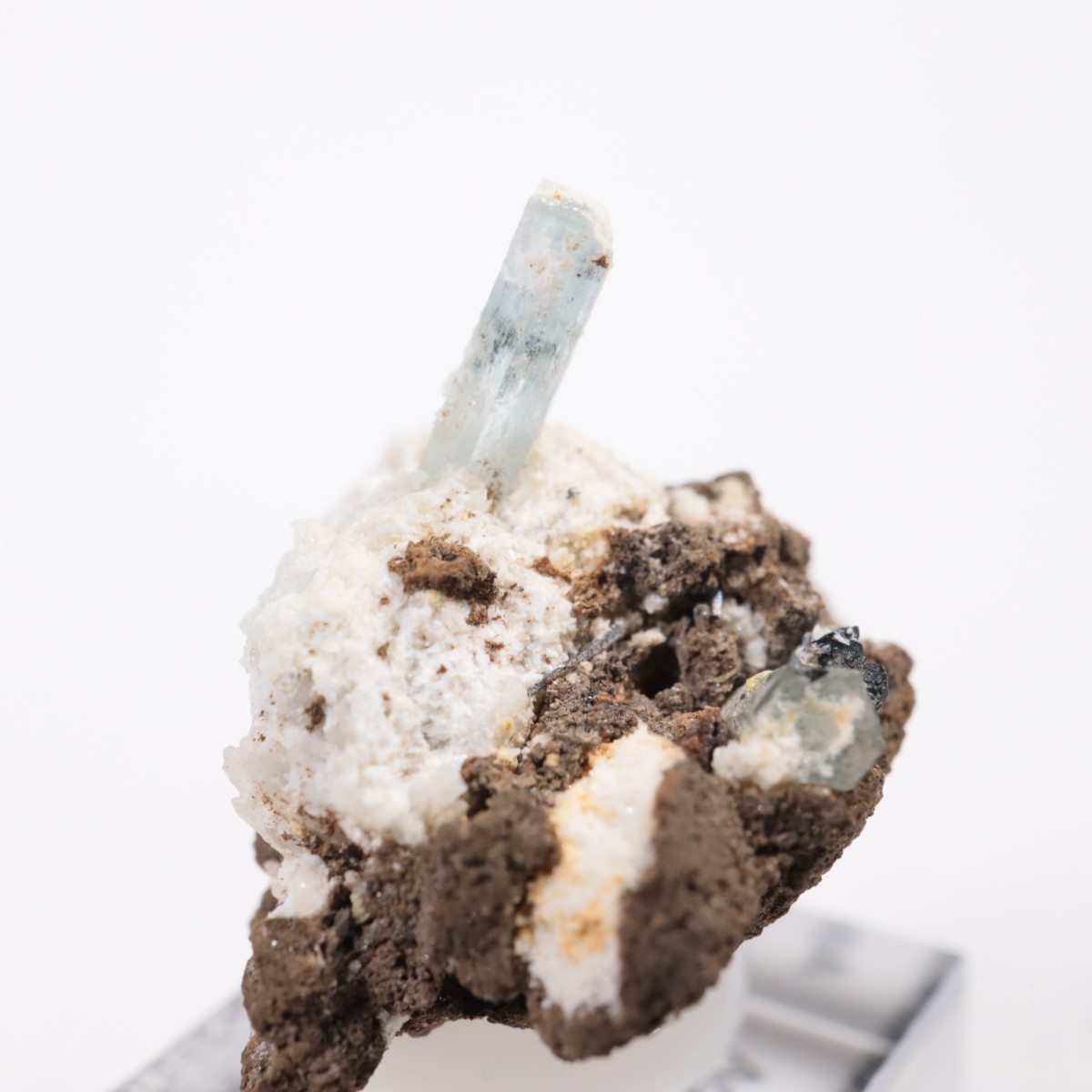 �����󥴹ۻ��� �������ޥ��