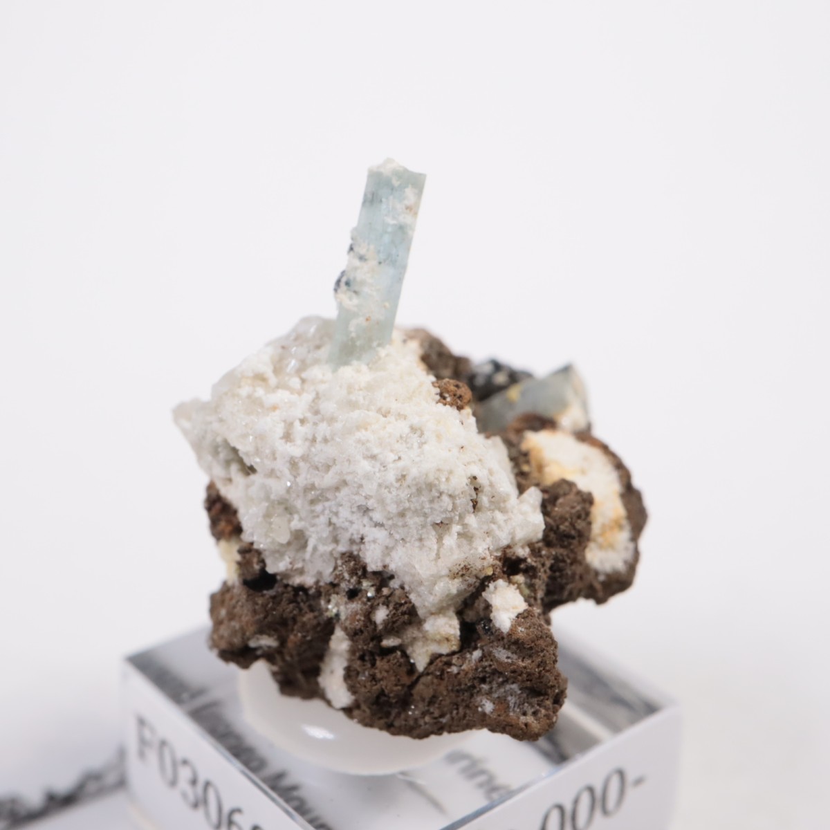 �����󥴹ۻ��� �������ޥ��