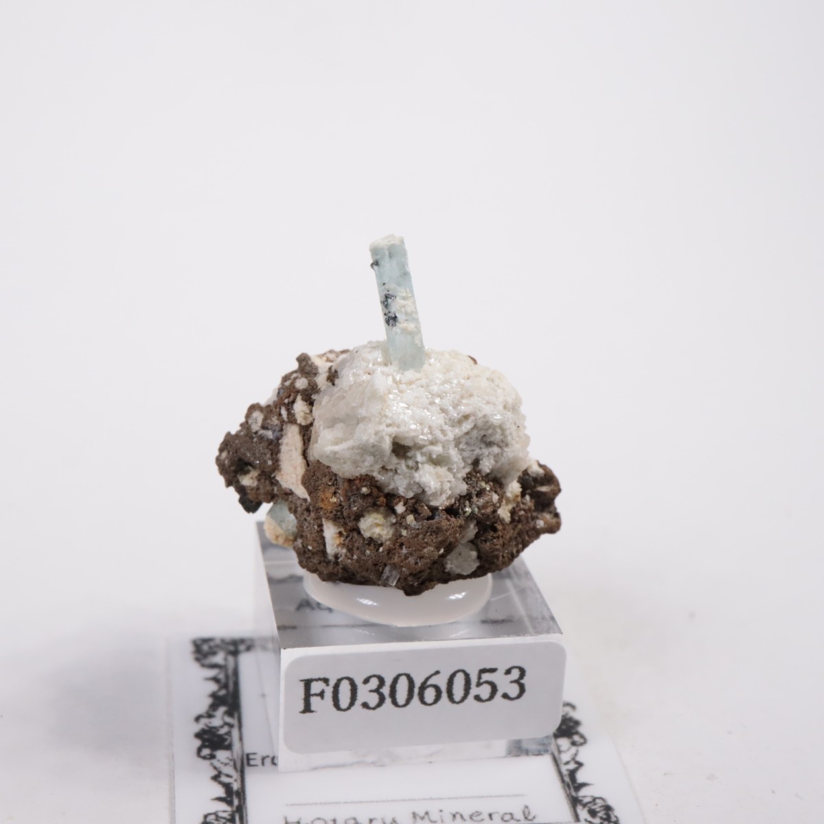 �����󥴹ۻ��� �������ޥ��