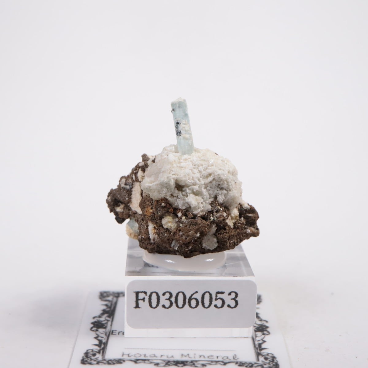 �����󥴹ۻ��� �������ޥ��