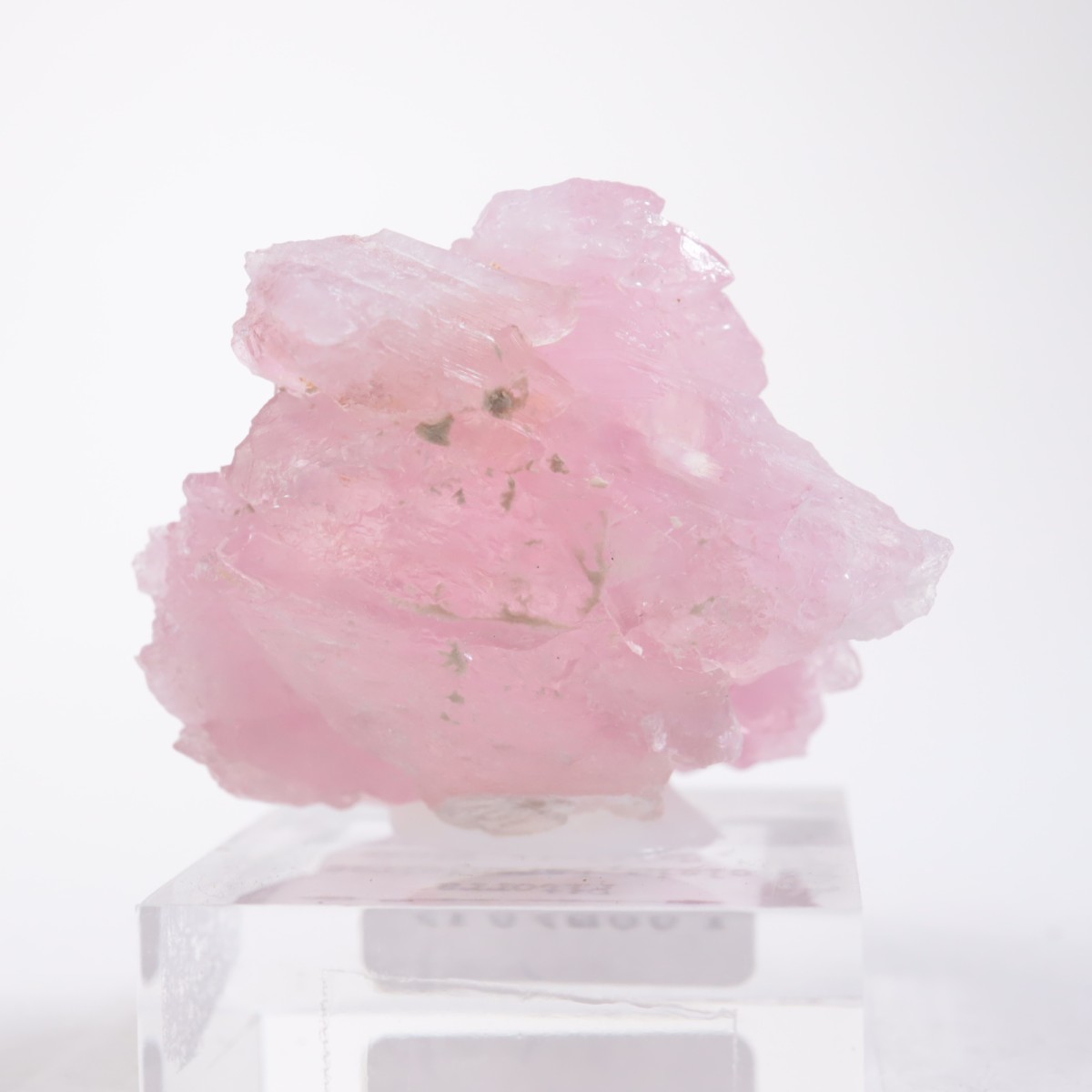 Pitorra claim�� ��������������