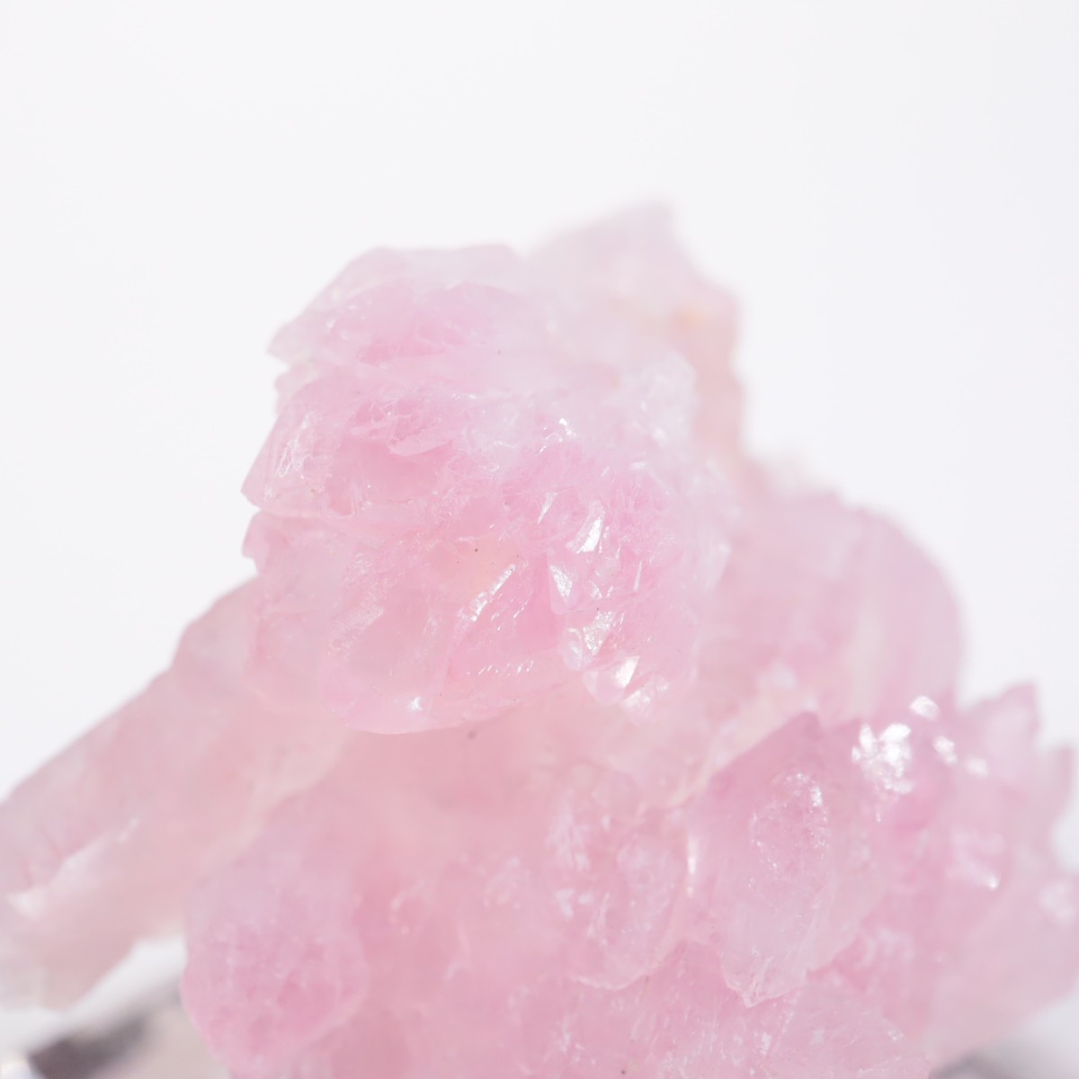 Pitorra claim�� ��������������