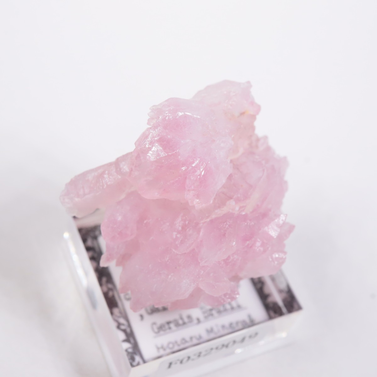 Pitorra claim�� ��������������