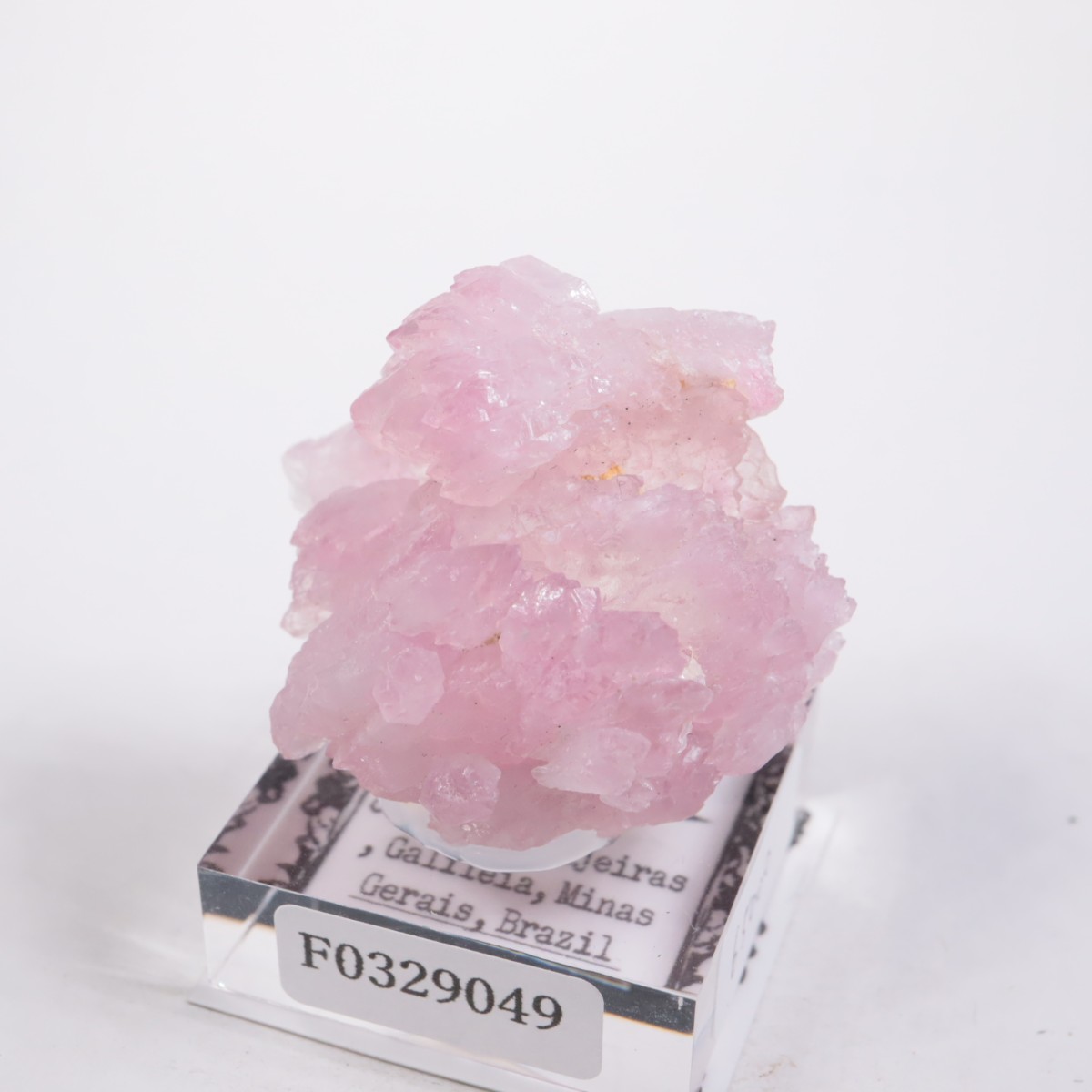 Pitorra claim�� ��������������