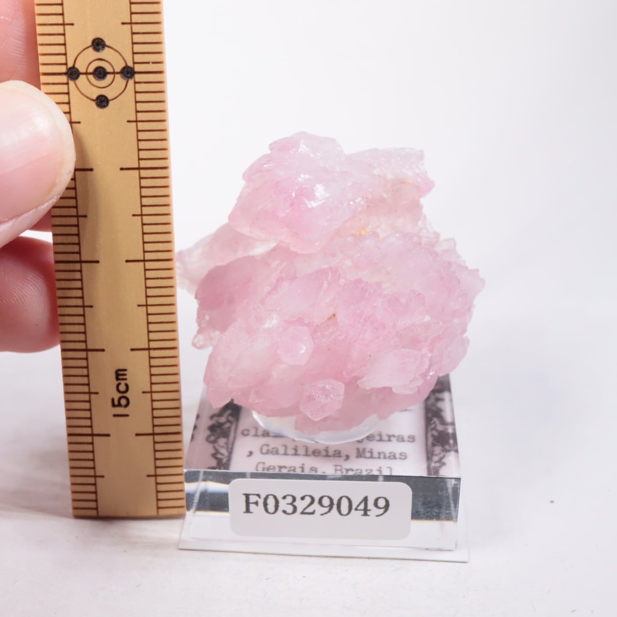 Pitorra claim�� ��������������