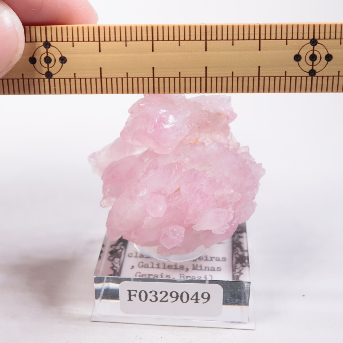 Pitorra claim�� ��������������