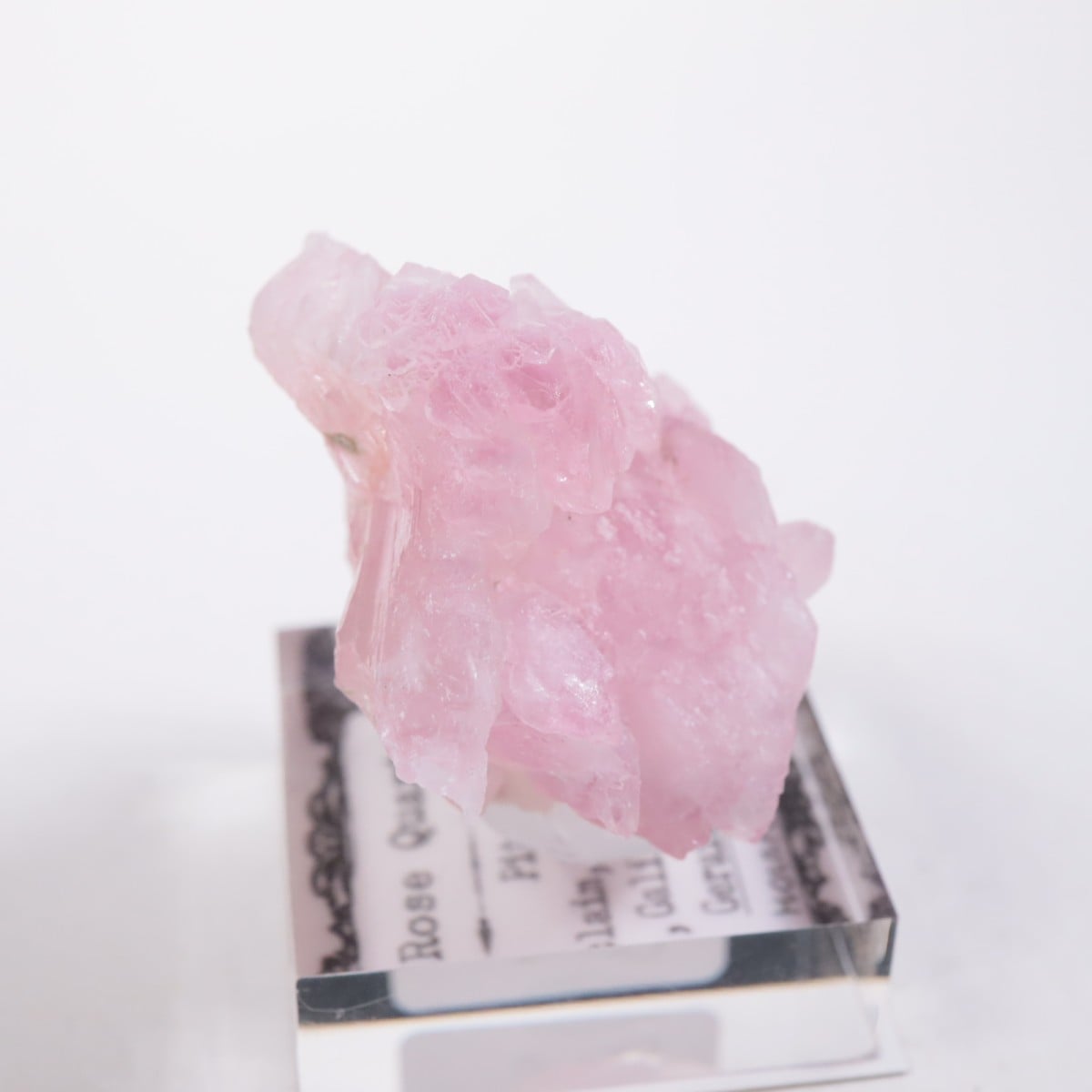 Pitorra claim�� ��������������