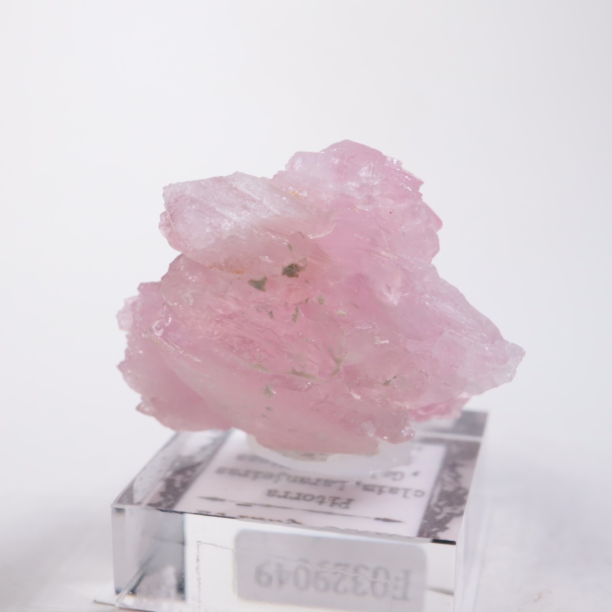 Pitorra claim�� ��������������