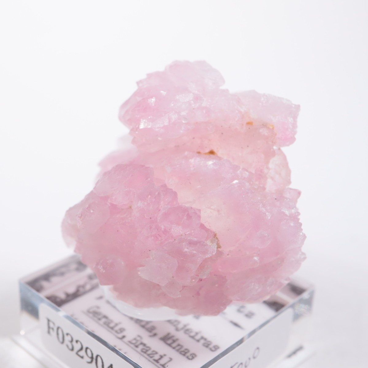 Pitorra claim�� ��������������