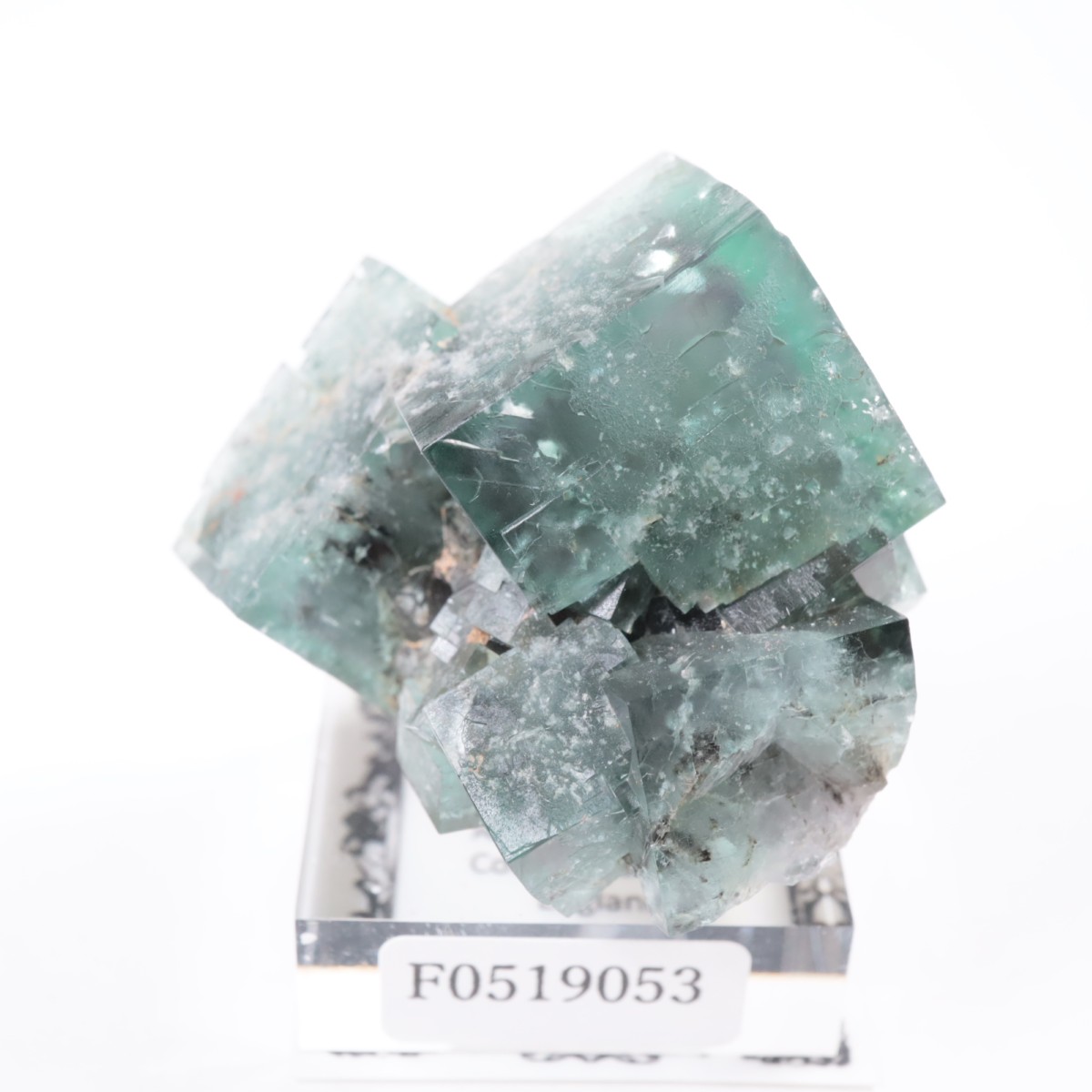 Helens Pocket産 フローライト | 鉱物標本,ハ行,フローライト/蛍石