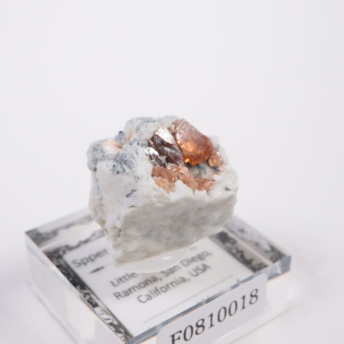 Little Three�ۻ� ���ڥ���ƥ��󥬡��ͥå�