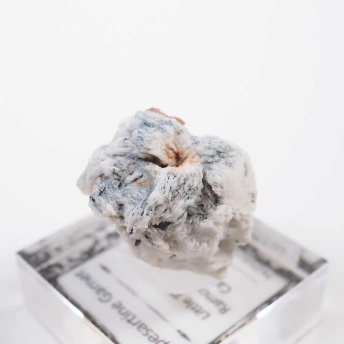 Little Three�ۻ� ���ڥ���ƥ��󥬡��ͥå�