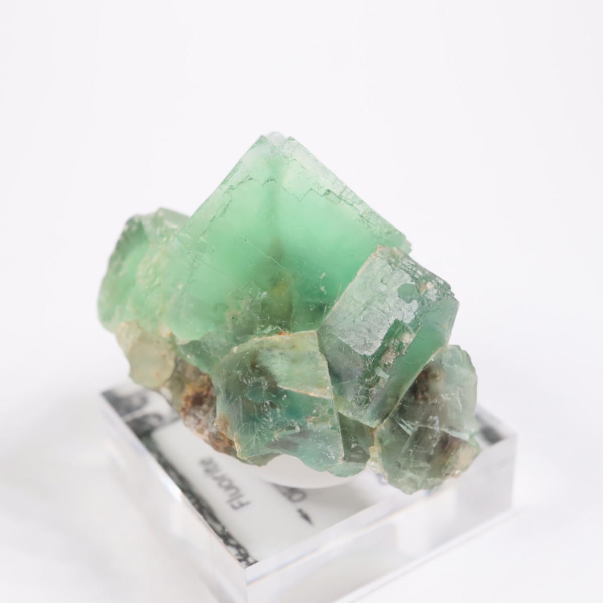 �����륹�ۻ� �ե����饤��