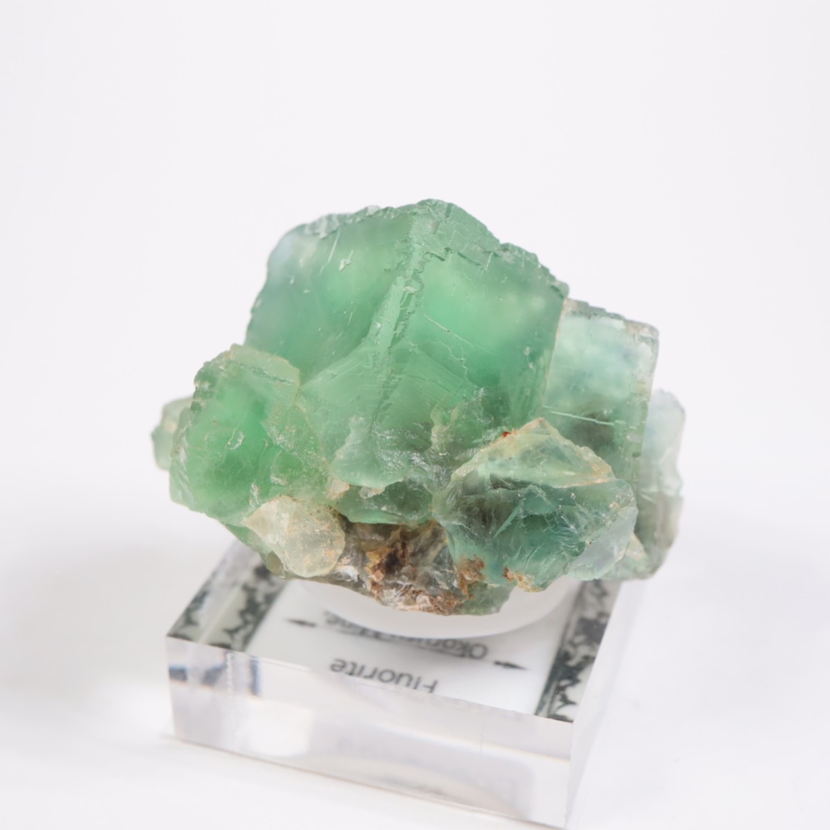 �����륹�ۻ� �ե����饤��