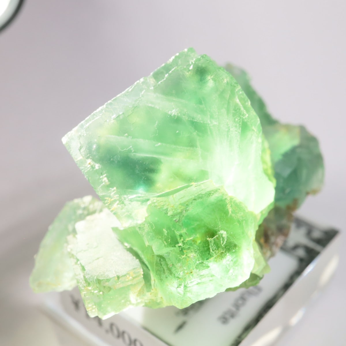 �����륹�ۻ� �ե����饤��