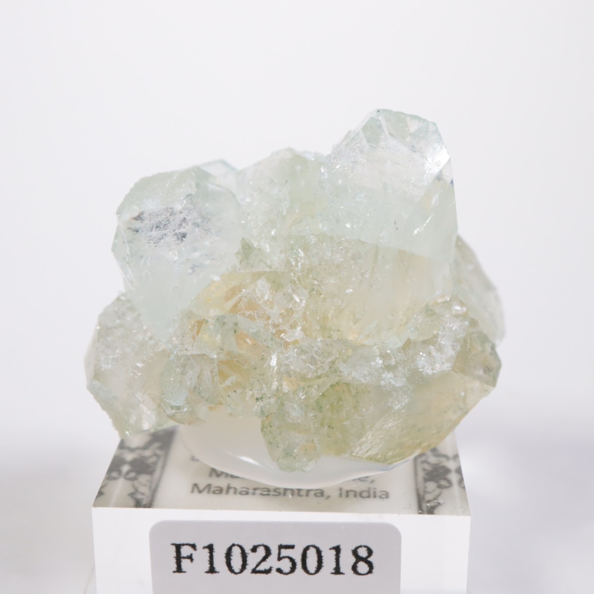 ����ɻ� ���ݥե��饤��