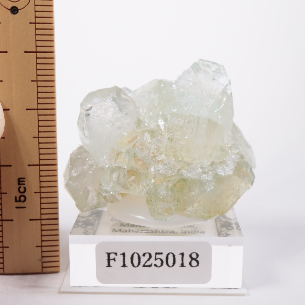 ����ɻ� ���ݥե��饤��