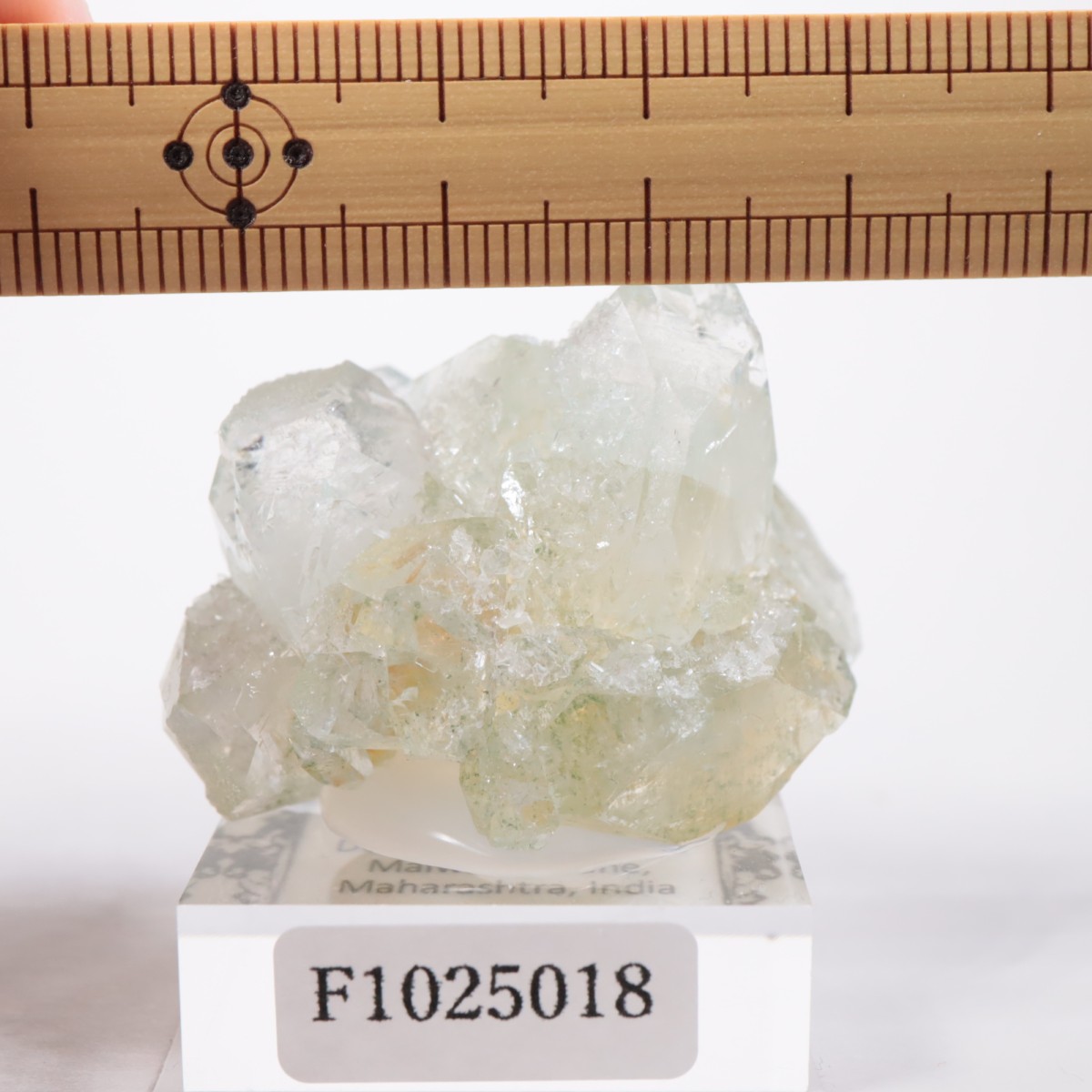 ����ɻ� ���ݥե��饤��