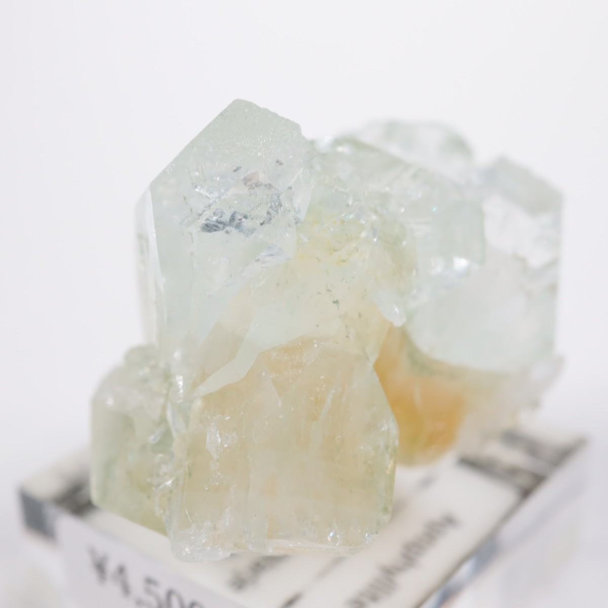 ����ɻ� ���ݥե��饤��