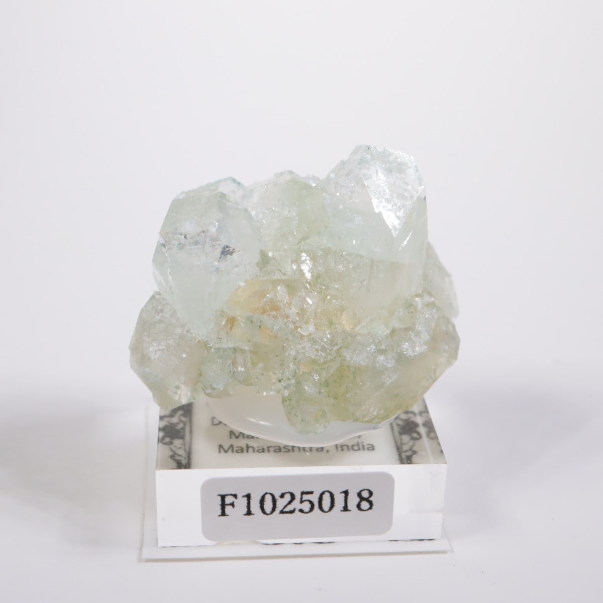 ����ɻ� ���ݥե��饤��