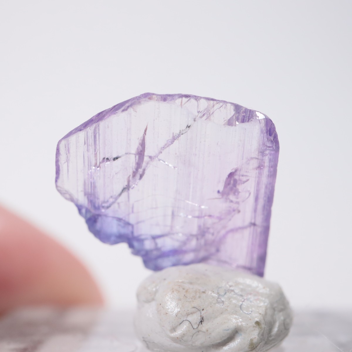 ����˥ҥ륺�� ���󥶥ʥ���