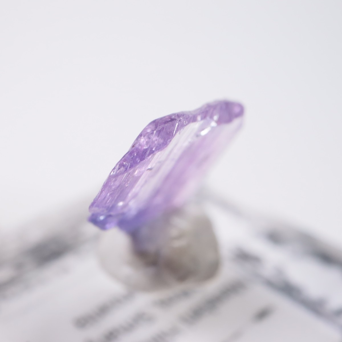 ����˥ҥ륺�� ���󥶥ʥ���