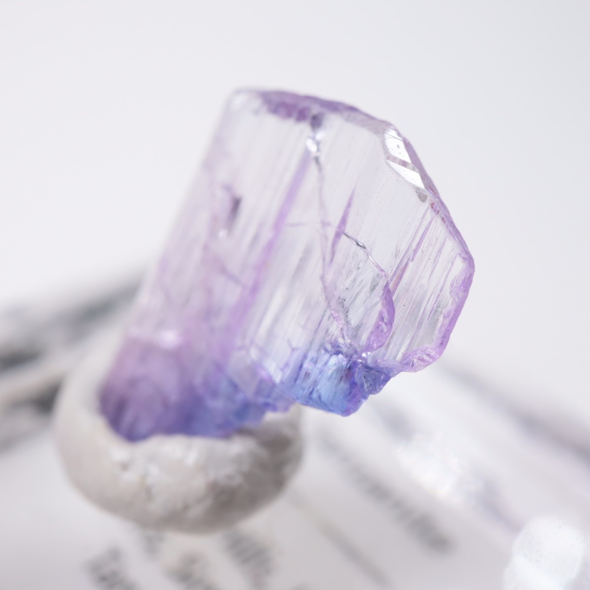 ����˥ҥ륺�� ���󥶥ʥ���