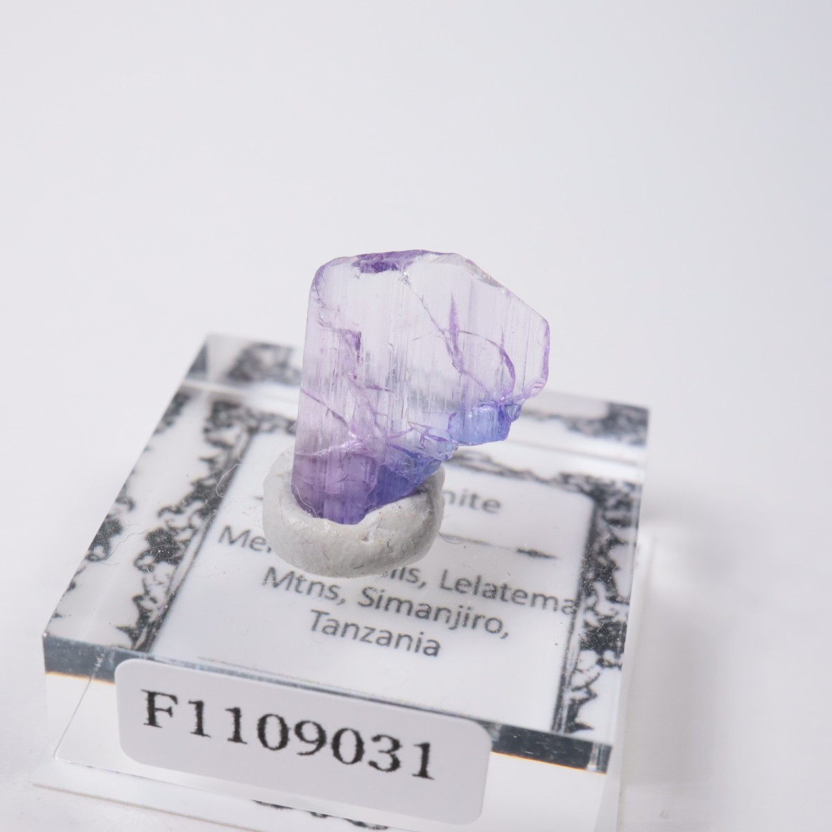 ����˥ҥ륺�� ���󥶥ʥ���