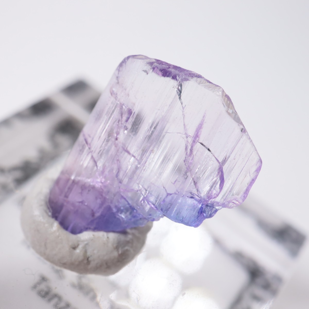 ����˥ҥ륺�� ���󥶥ʥ���