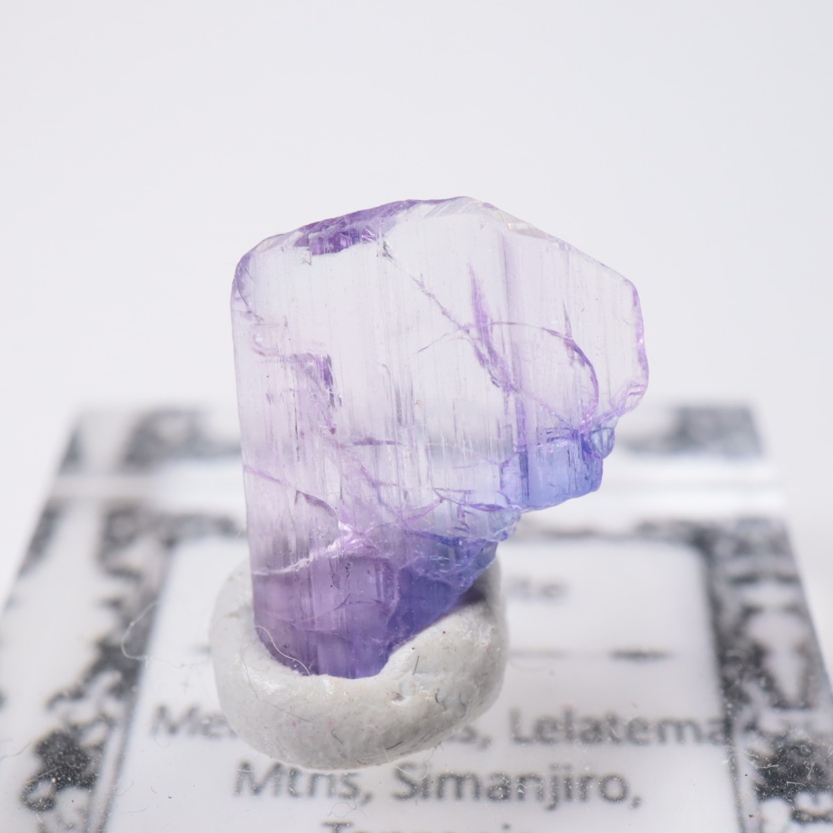 ����˥ҥ륺�� ���󥶥ʥ���