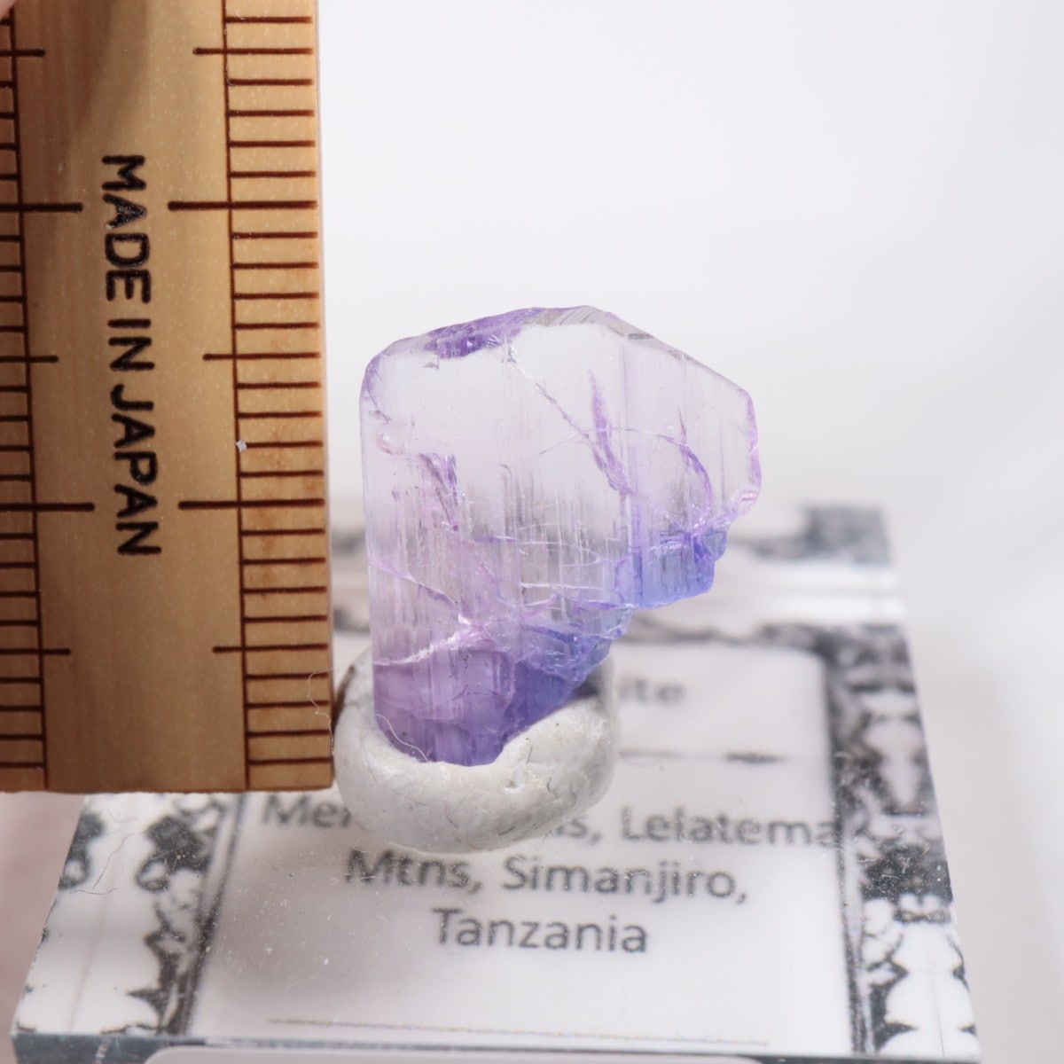 ����˥ҥ륺�� ���󥶥ʥ���