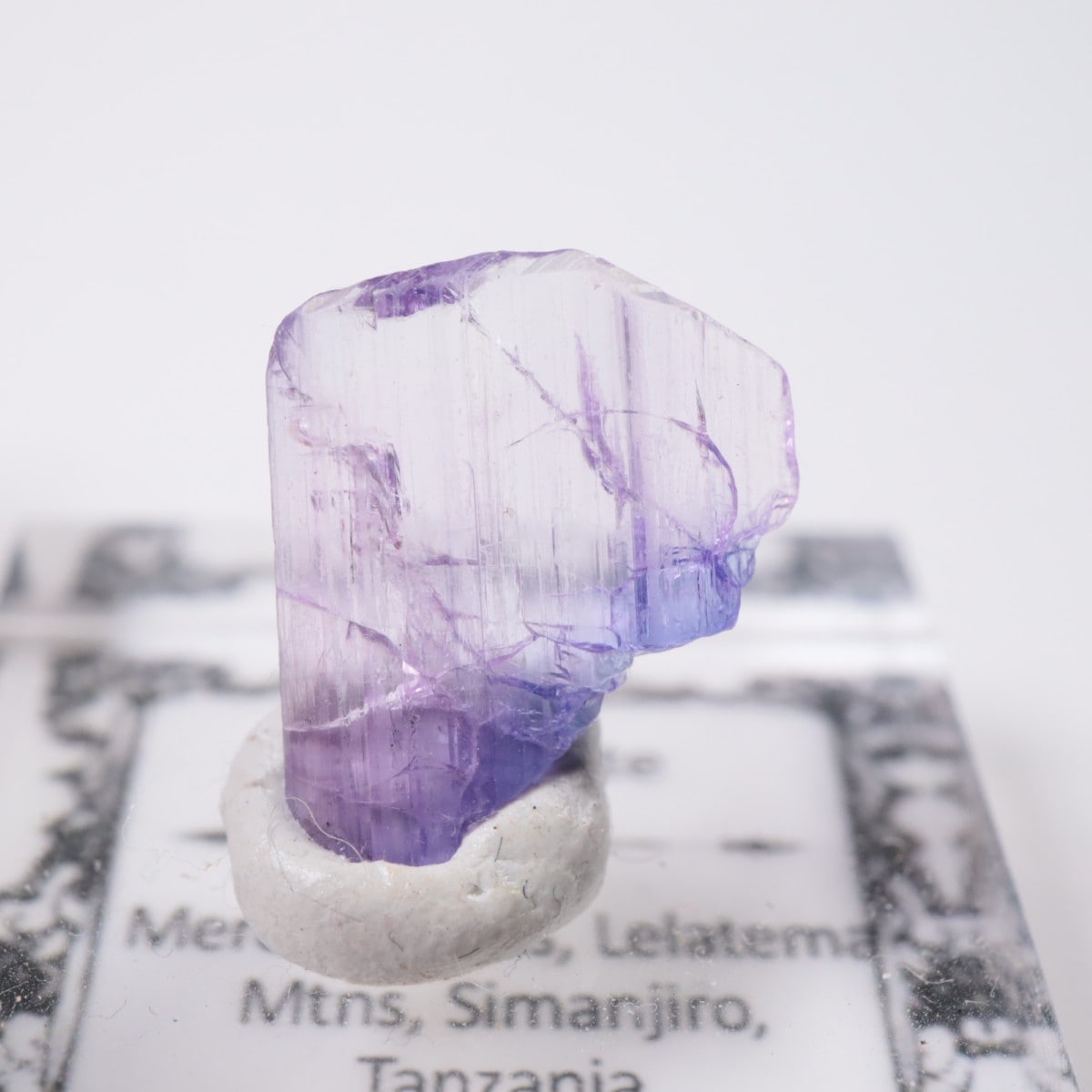 ����˥ҥ륺�� ���󥶥ʥ���