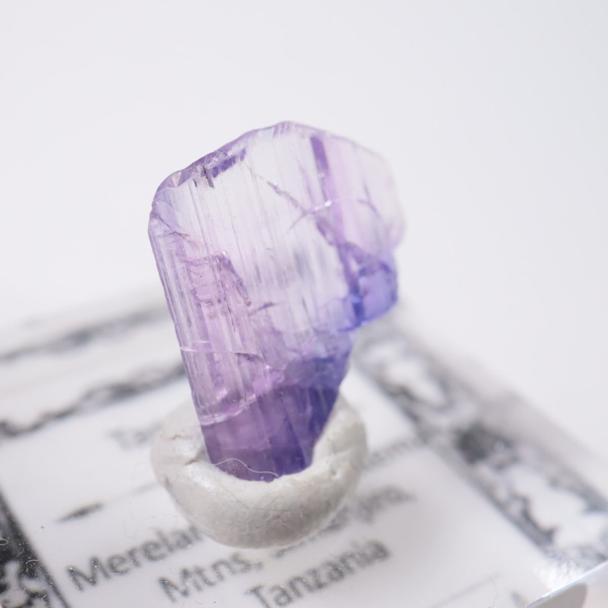 ����˥ҥ륺�� ���󥶥ʥ���