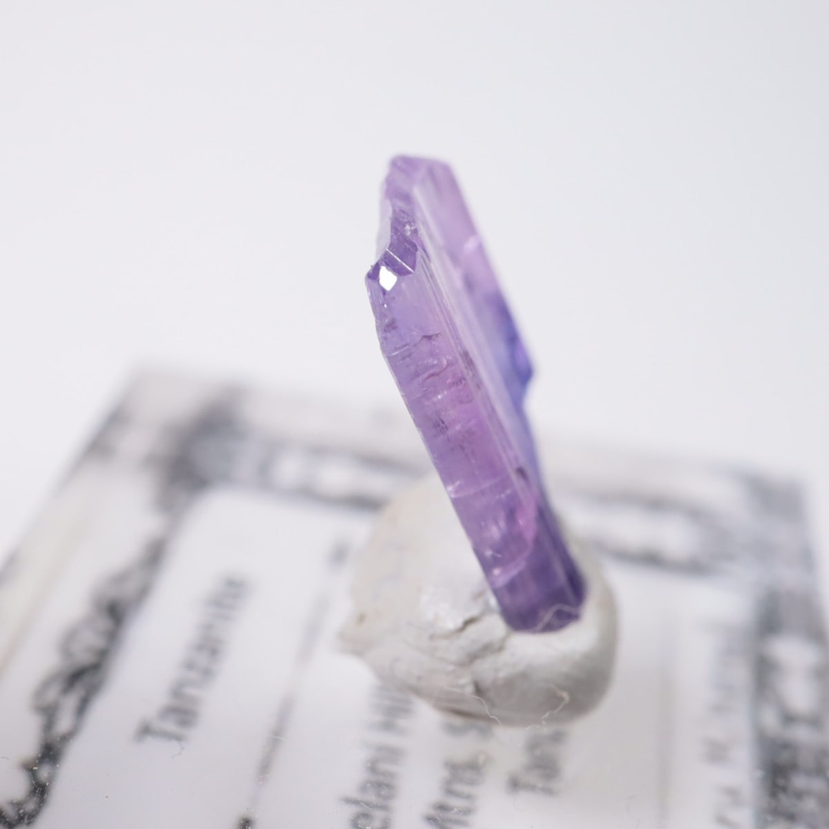 ����˥ҥ륺�� ���󥶥ʥ���