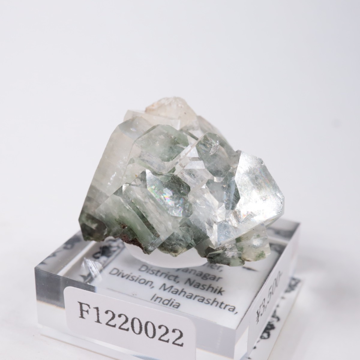 ����ɻ� ���ݥե��饤��