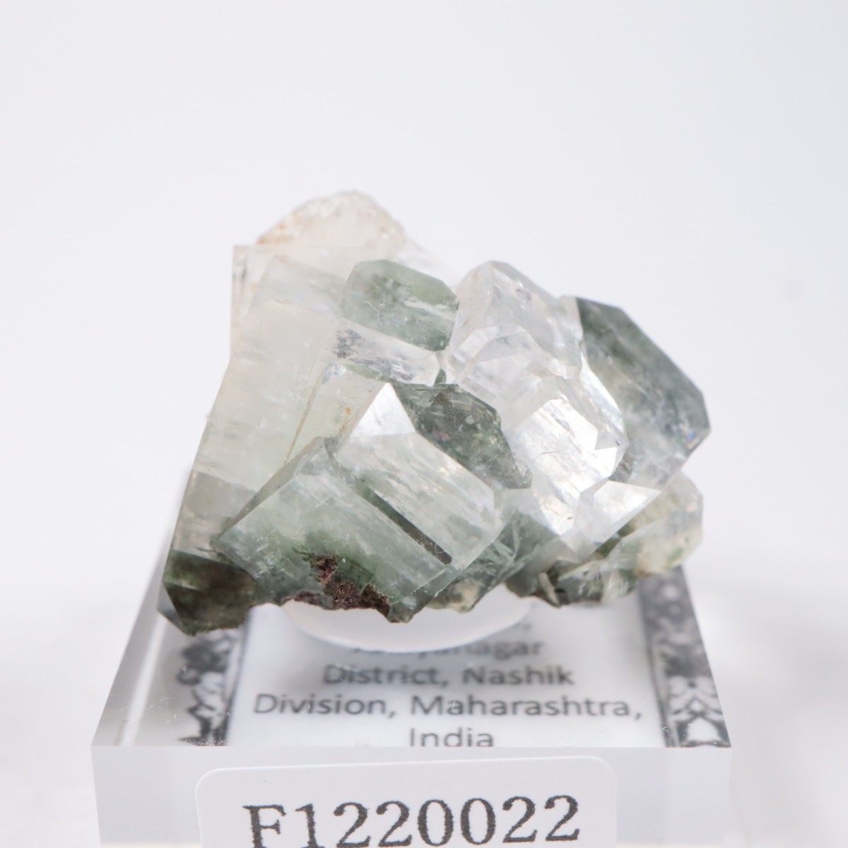 ����ɻ� ���ݥե��饤��