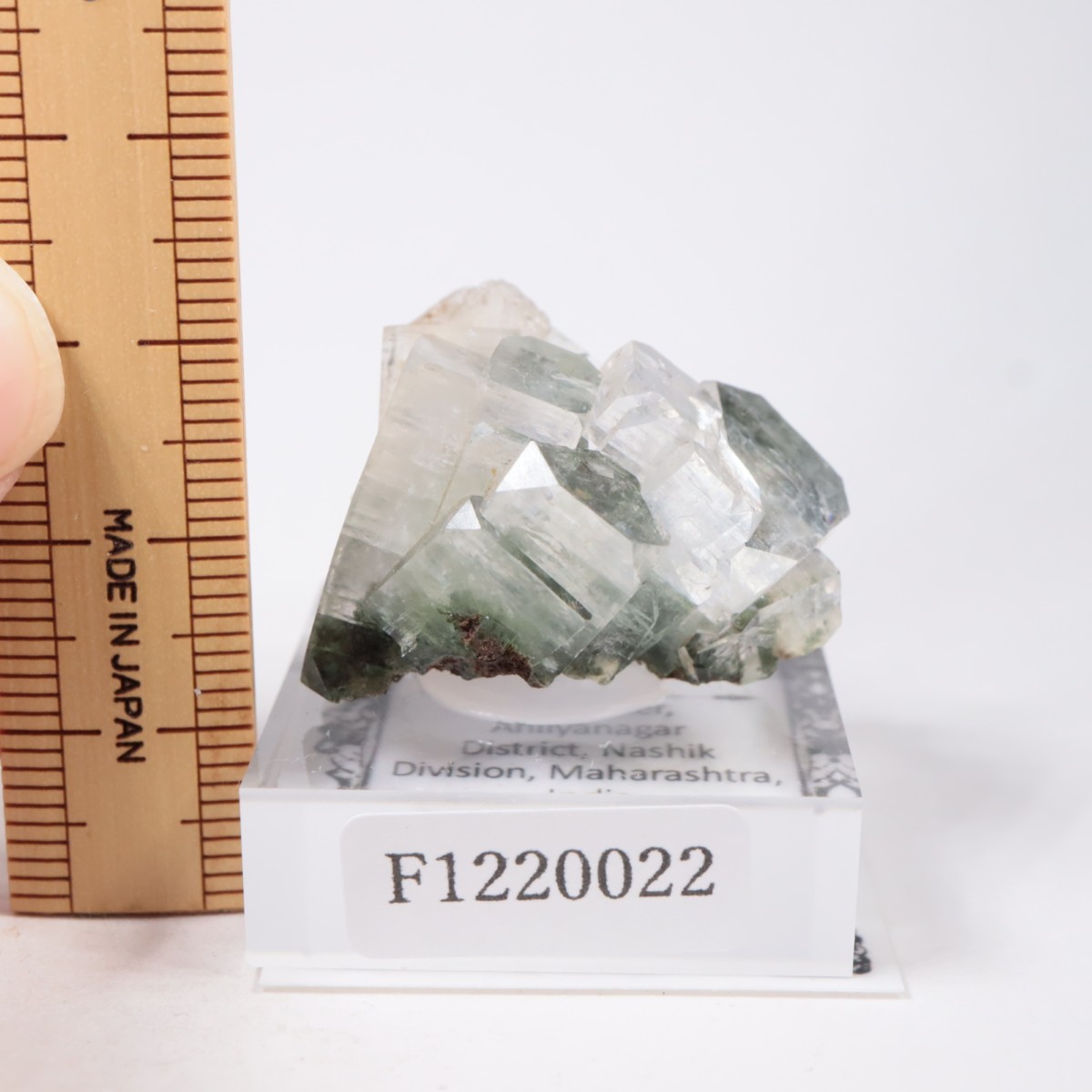 ����ɻ� ���ݥե��饤��