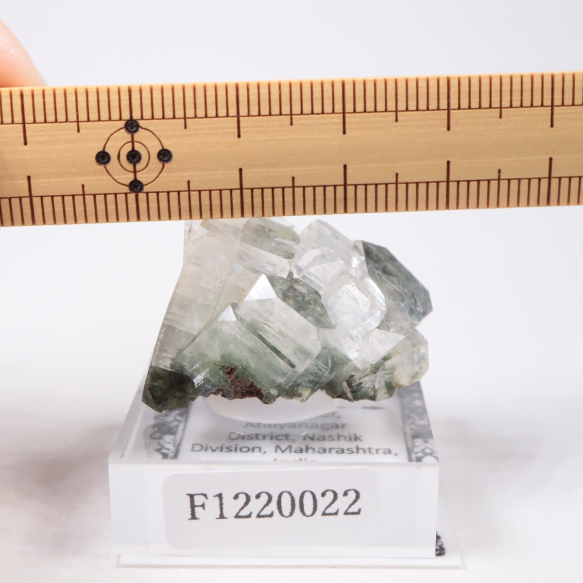 ����ɻ� ���ݥե��饤��