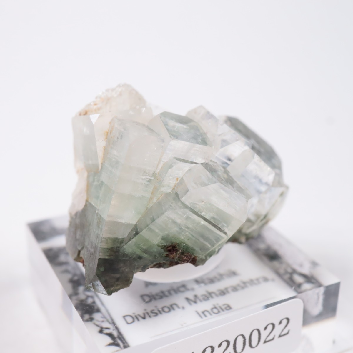 ����ɻ� ���ݥե��饤��