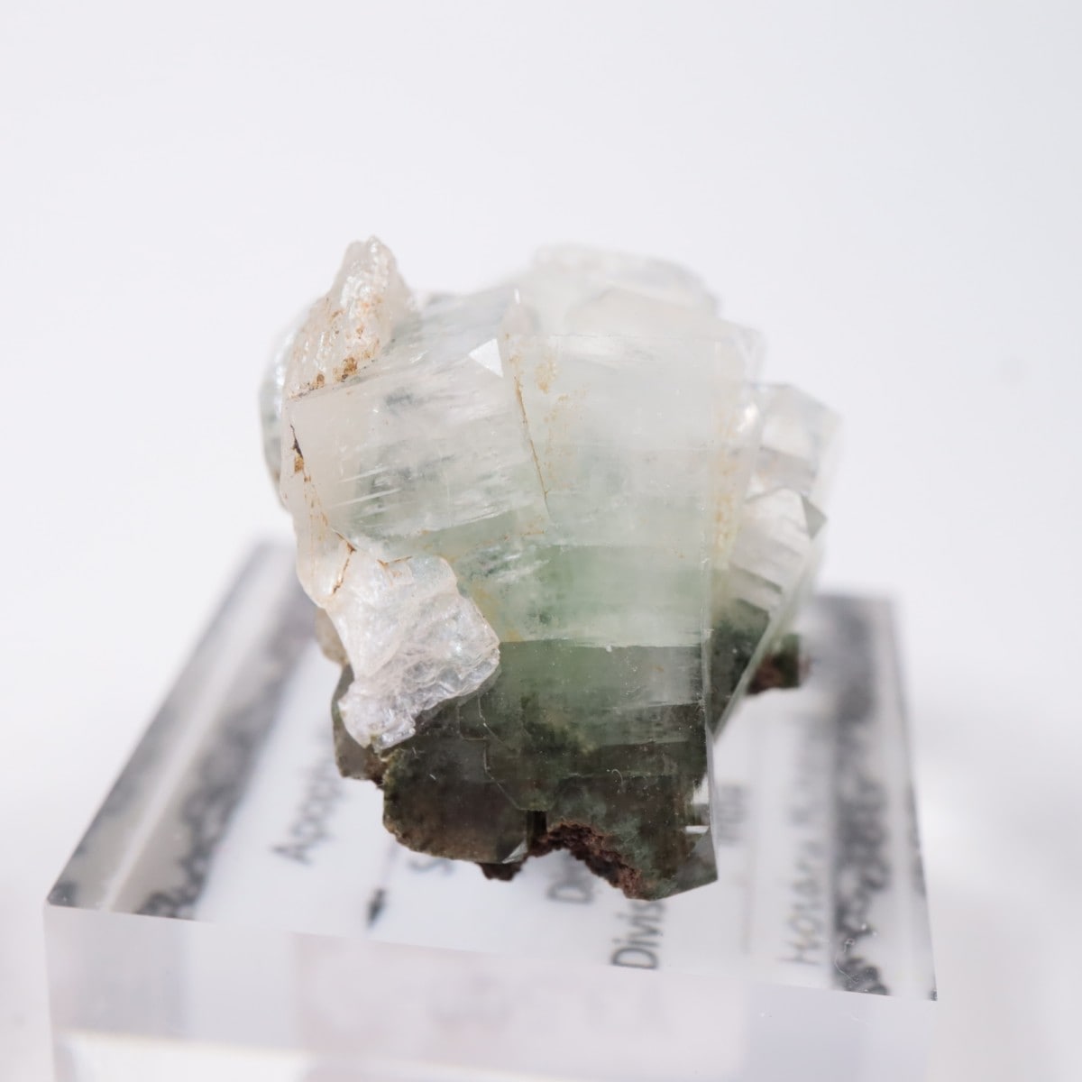 ����ɻ� ���ݥե��饤��