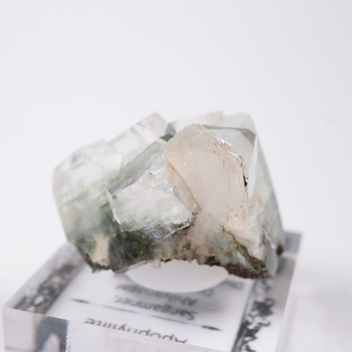 ����ɻ� ���ݥե��饤��