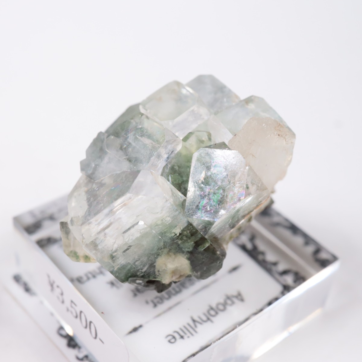 ����ɻ� ���ݥե��饤��