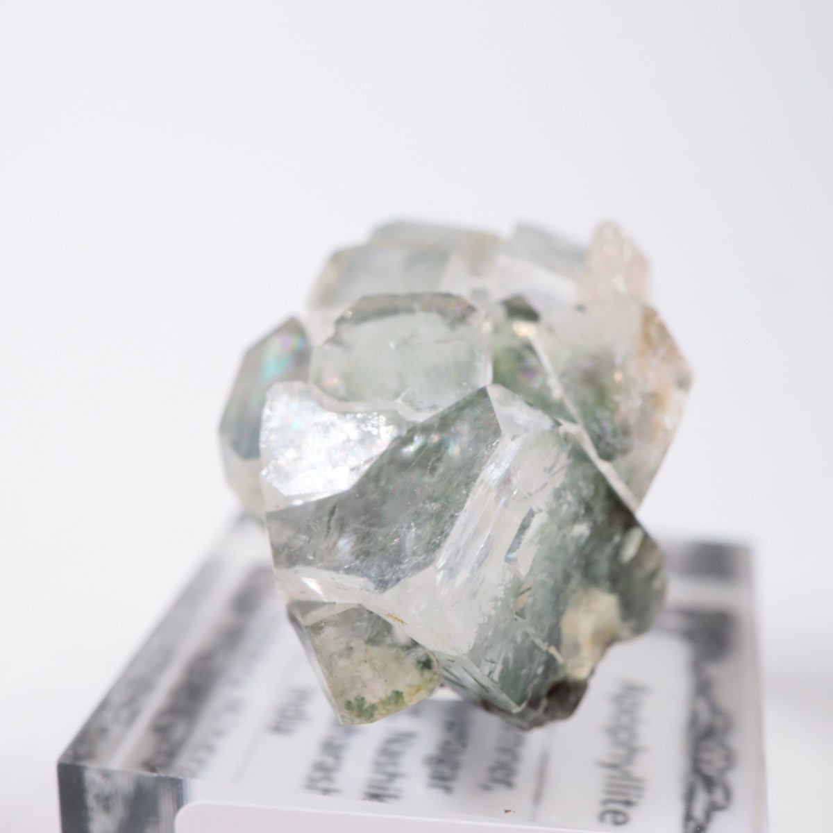 ����ɻ� ���ݥե��饤��