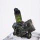 Aricanga�ۻ� �ȥ�ޥ��