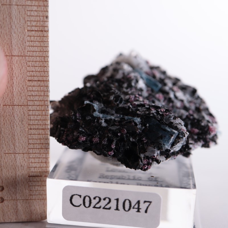 3_000000002359.jpg?1678209904