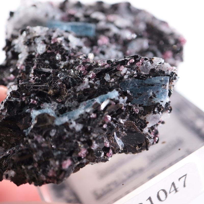 ロシア産 カイヤナイト | 鉱物標本,カ行,カイヤナイト | ほたるみねら