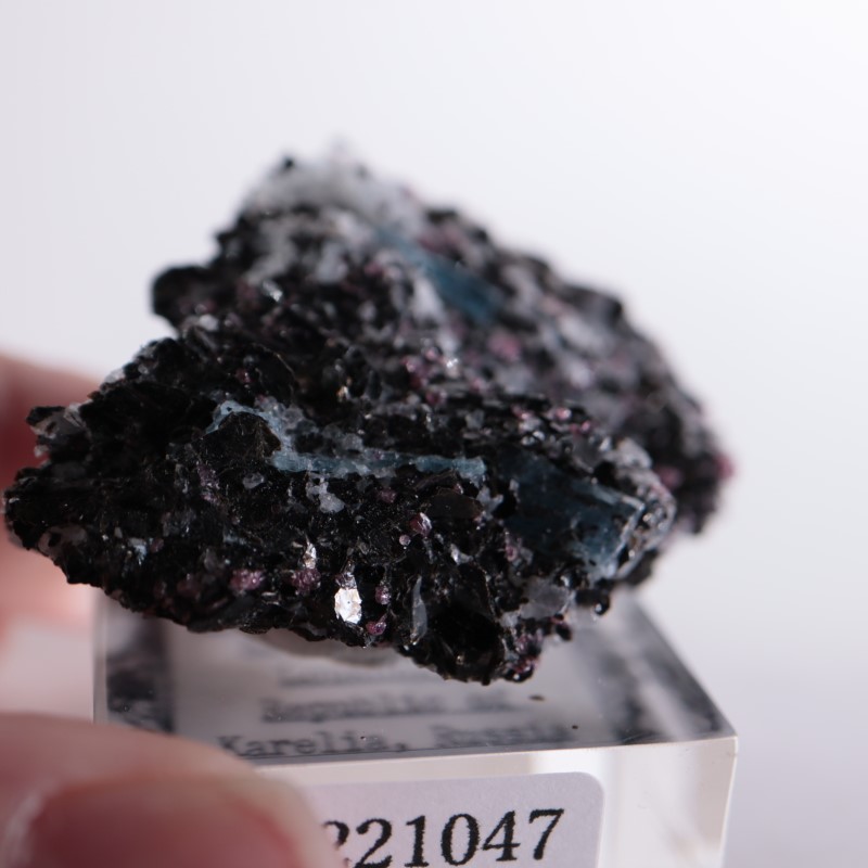 ロシア産 カイヤナイト | 鉱物標本,カ行,カイヤナイト | ほたるみねら